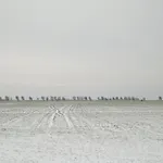 Luettje Teihn * Pilsum