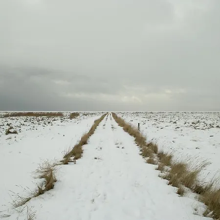 Luettje Teihn Pilsum