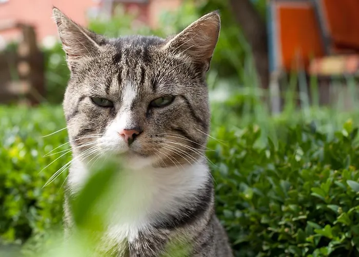 Dom wakacyjny Luettje Teihn