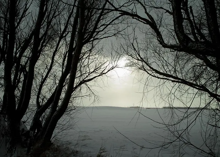 Luettje Teihn Dom wakacyjny *