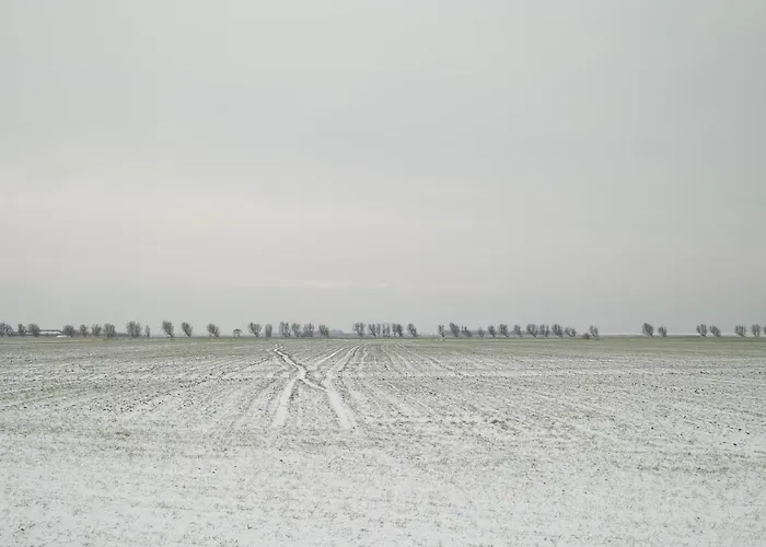 Luettje Teihn * Pilsum