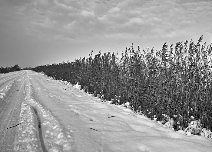Dom wakacyjny Luettje Teihn Pilsum